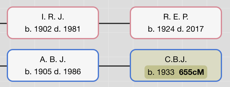 A screenshot showing nodes for females with a pink background and nodes for males with a blue background.